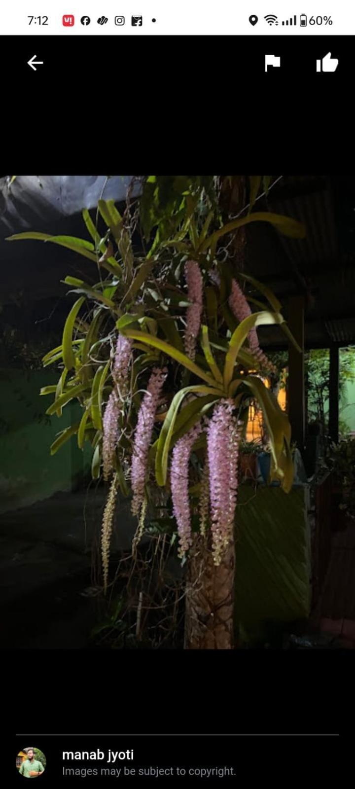Orchid Park Homestay Sivasagar Luaran gambar